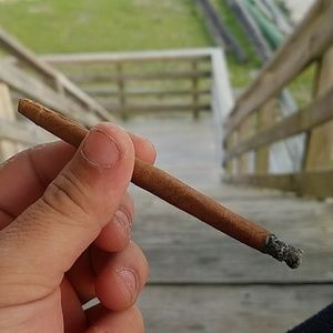 Meet your Posher, Fredy