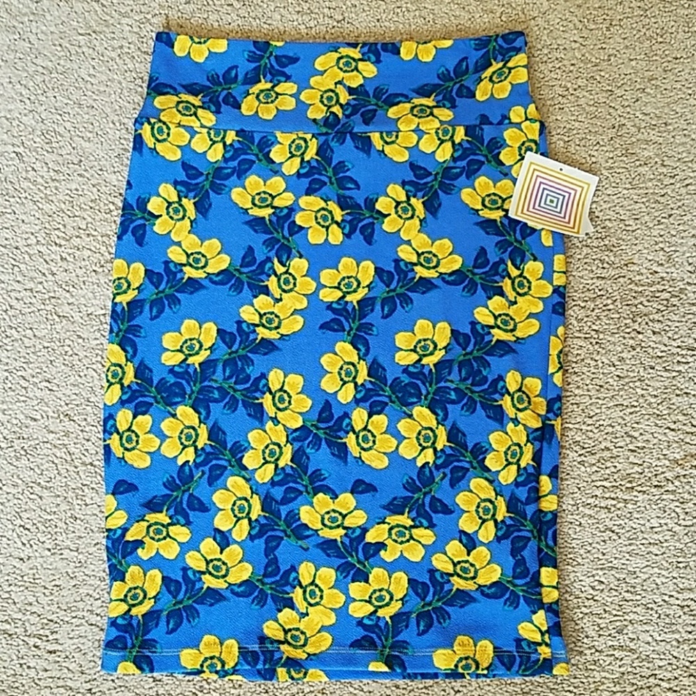 NWT: RePosh: Lularoe Cassie Skirt