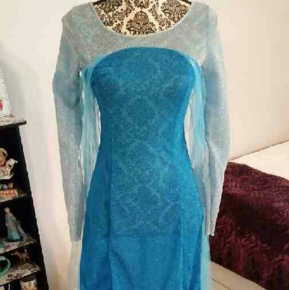 Adult Elsa/Snow Queen costume