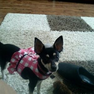 Meet your Posher, Jane