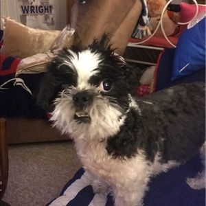 Meet your Posher, Kara