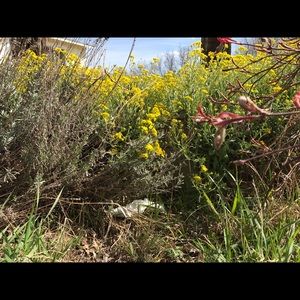 Meet your Posher, Graham