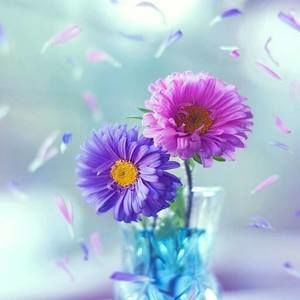 Meet your Posher, Judy