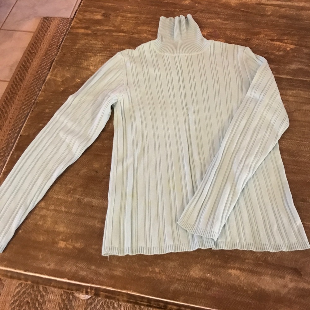 Talbot's Turtleneck