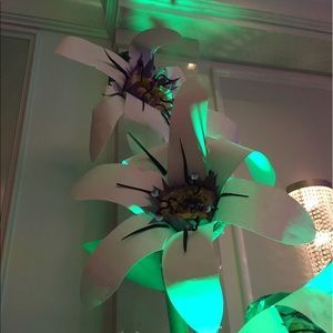 Meet your Posher, Jane