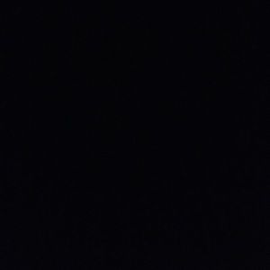 Meet your Posher, Ingrid