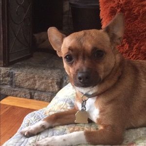 Meet your Posher, Juli