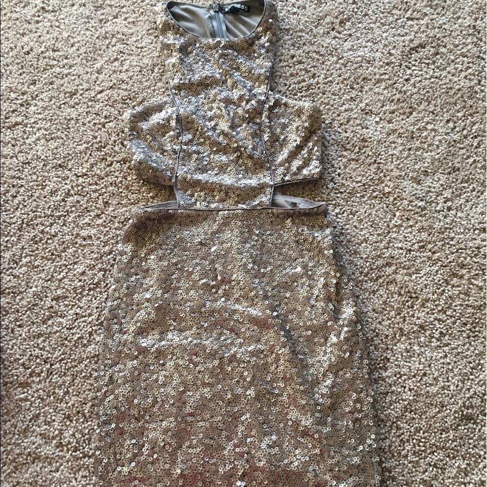 Express sequin dress