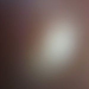 Meet your Posher, Iris