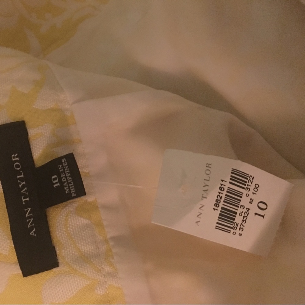 Ann Taylor skirt new with Tags.