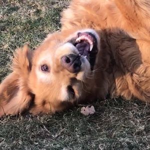 Meet your Posher, Aidan