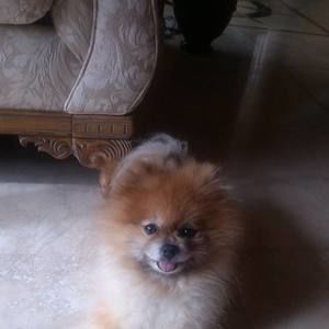 Meet your Posher, Sheryl