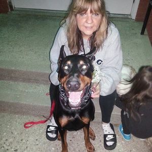 Meet your Posher, Julie