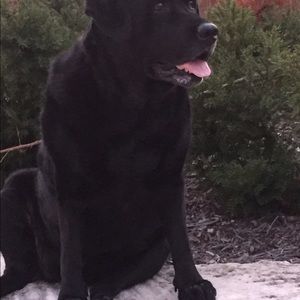 Meet your Posher, James