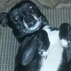 Meet your Posher, Kaleb