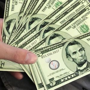 Meet your Posher, Ernesto