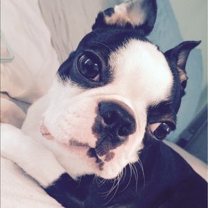 Meet your Posher, Lola