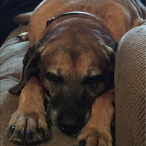 Meet your Posher, Mary