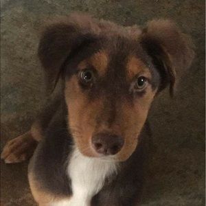 Meet your Posher, Kimberlyn