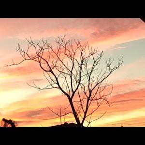 Meet your Posher, Laela