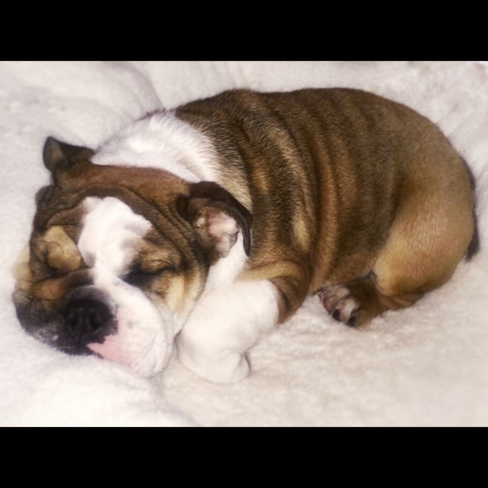 Sharing my handsome baby with you guys ❤