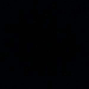 Meet your Posher, Virginia