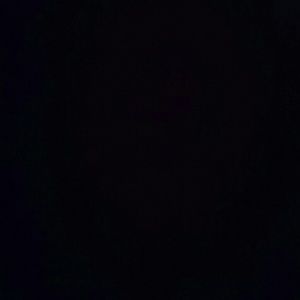 Meet your Posher, Cody