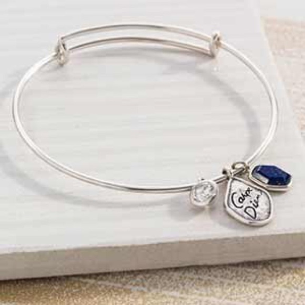 Silpada Carpe Diem Bangle
