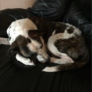 Meet your Posher, Brett