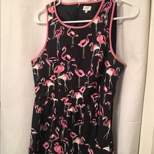 Flamingo dress•