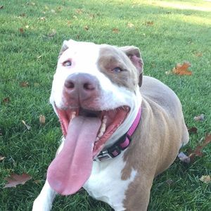 Meet your Posher, Keri