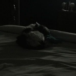 Meet your Posher, Allyson