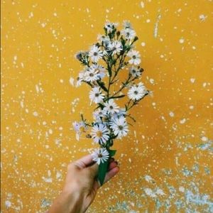 Meet your Posher, Jackie