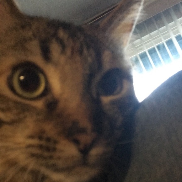 ♥️🙌🏻🙃FOLLOW GAME IS NOW FULL!!!! 🙃🙌🏻♥️ - Picture 2 of 6