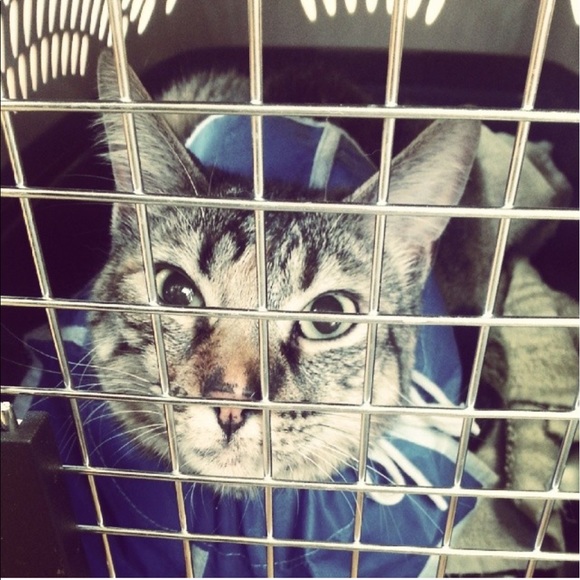 ♥️🙌🏻🙃FOLLOW GAME IS NOW FULL!!!! 🙃🙌🏻♥️ - Picture 3 of 6