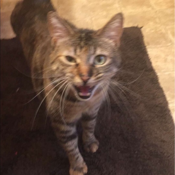 ♥️🙌🏻🙃FOLLOW GAME IS NOW FULL!!!! 🙃🙌🏻♥️ - Picture 4 of 6