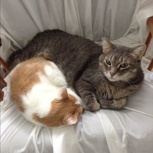 Meet your Posher, Mary