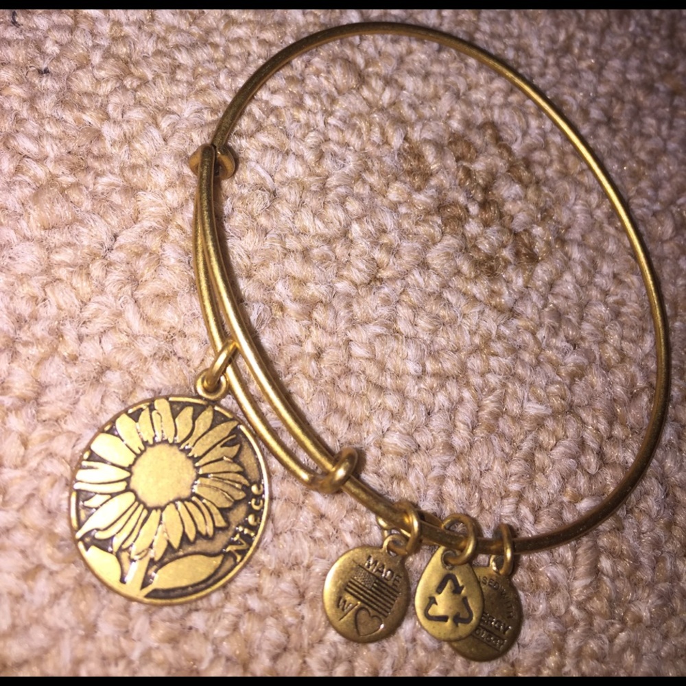 Alex & Ani Niece Charm Bracelet