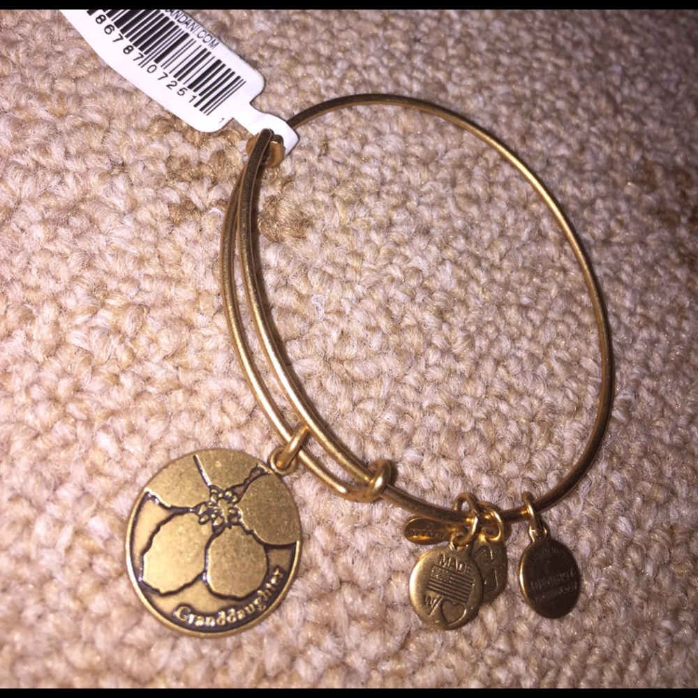 Alex & Ani Granddaughter Charm Bracelet