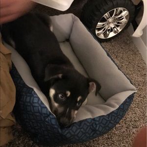 Meet your Posher, Luz