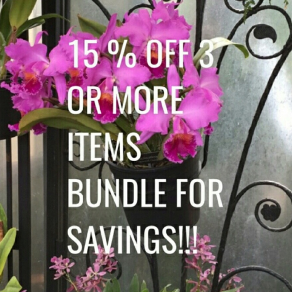 👚Plus Size Closet👗