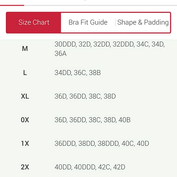 Loretta Unlined Plus adore me (bra only) no panty - Picture 5 of 6