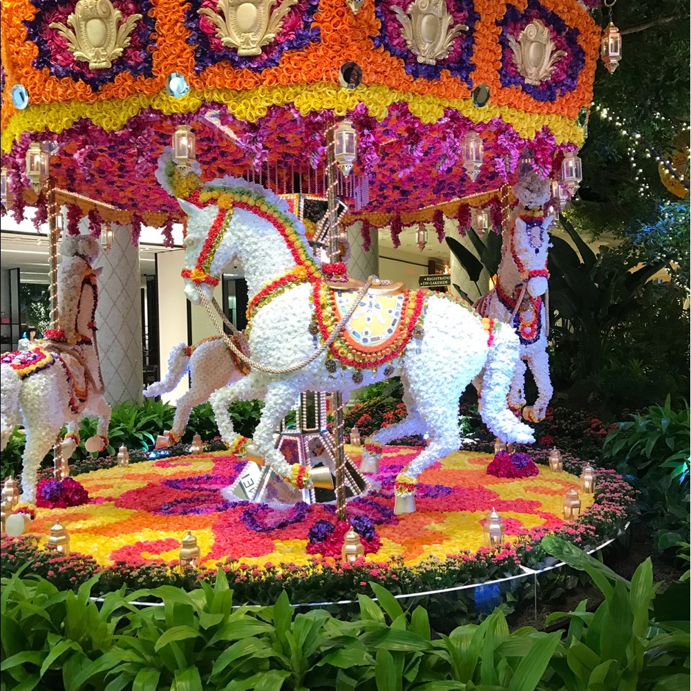 Meet your Posher, Chelsea