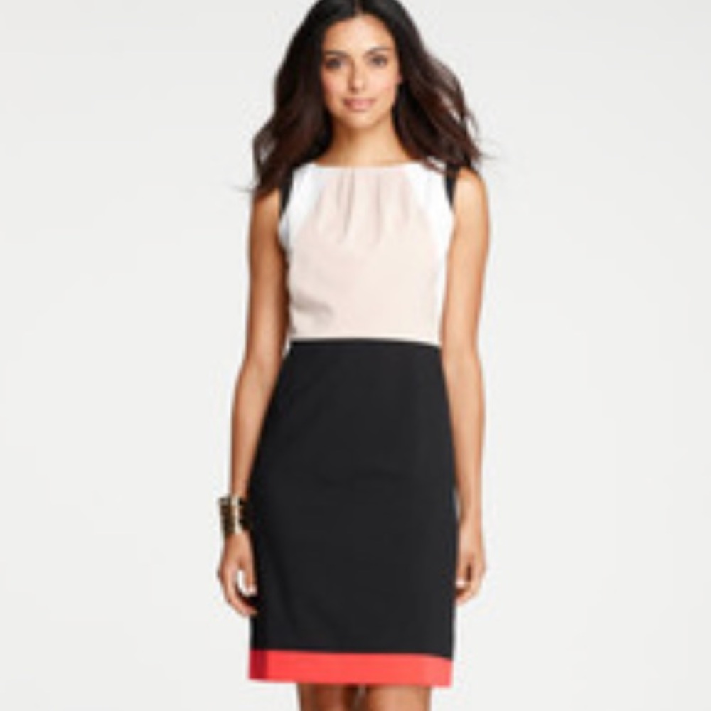 PLUS SIZE: Color blocked Sheath Dress
