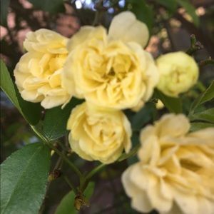 Meet your Posher, Katherine