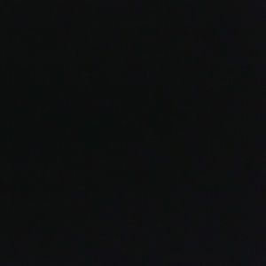 Meet your Posher, Dora