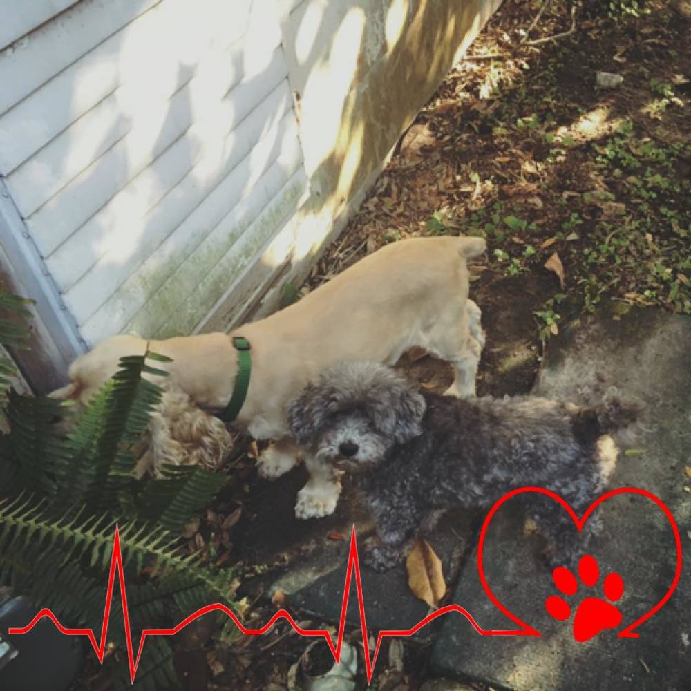 Meet your Posher, Caroline