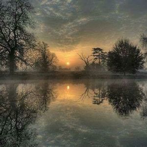 Meet your Posher, Sue