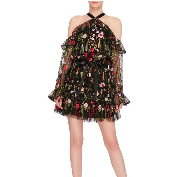 alexis embroidered dress