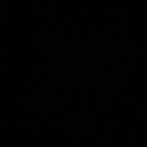 Meet your Posher, Albert